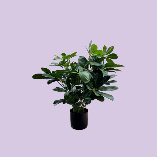 [2065] Artificial Baby Schefflera
